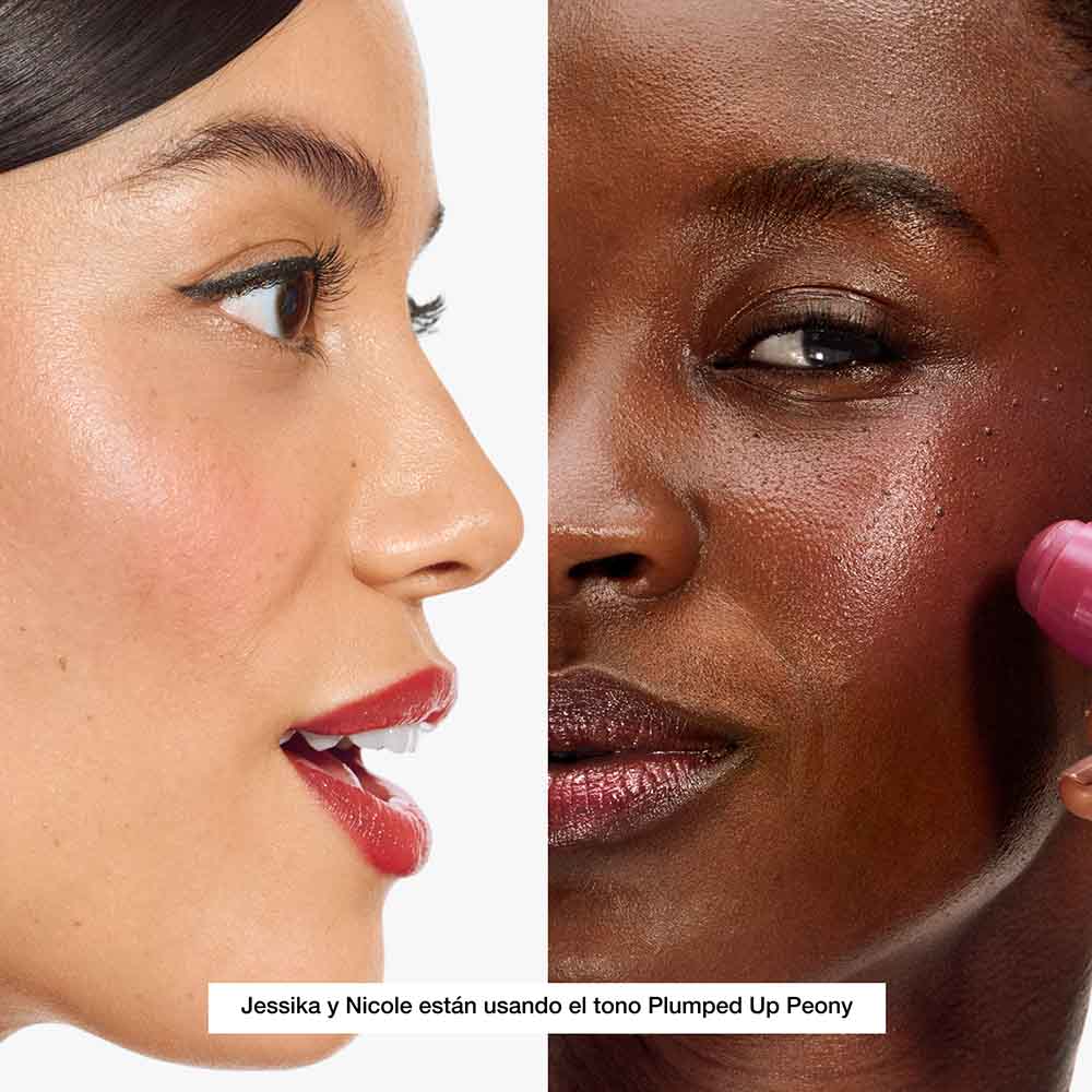 CHUBBY STICK CHEEK COLOR BALM (RUBOR CREMOSO EN BARRA)